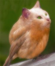 bichos11.jpg